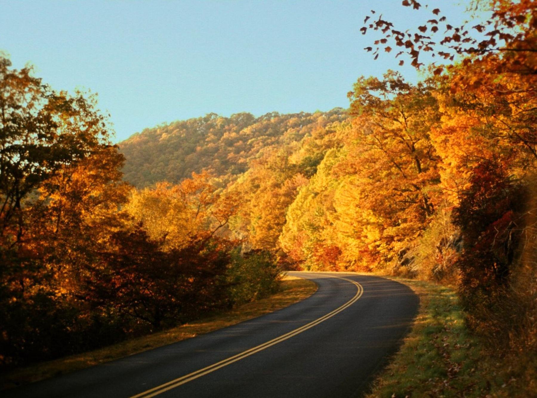Autumn road through the mountains